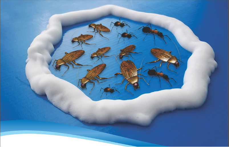 Por fin un insecticida para control de plagas que no es pura espuma.