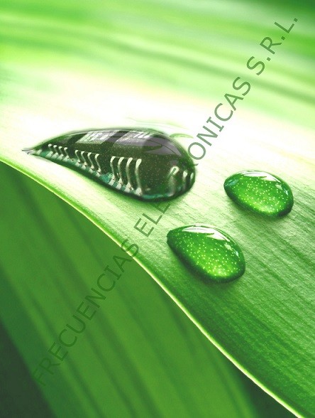 �Veremos alguna vez un insecticida electr�nico que reemplace a los qu�micos y que realmente preserve los ambientes y los alimentos sin sumar contaminaci�n de plaguicidas?