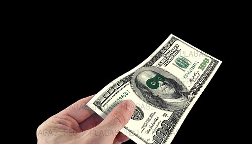 La falta de respeto y el robo, plagas nuevas e incurables. 