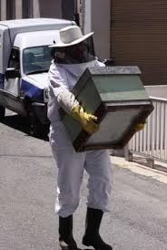 Retiro de panales de abejas. 